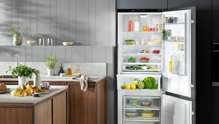 A refrigerator designed for food preservation showing fresh vegetables
